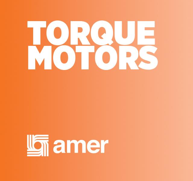 MOTORI COPPIA